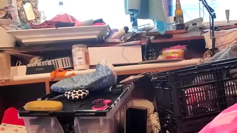 gurlnips online show from January 6, 2025, 11:42 pm