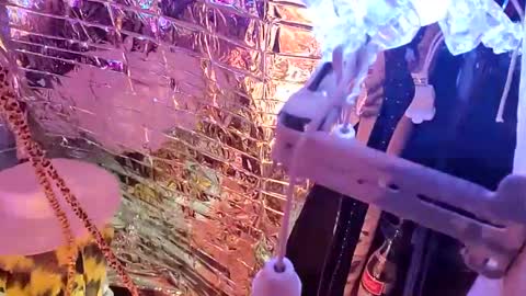 gurlnips online show from February 14, 2025, 9:56 am