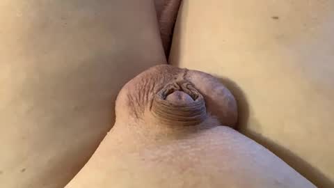 Wade online show from January 28, 2025, 7:21 pm