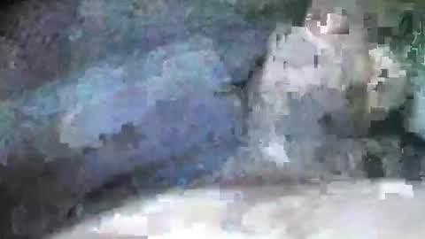 mexianthehawk online show from September 28, 2025, 9:09 pm