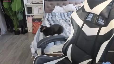 vollmond online show from February 13, 2026, 5:36 am