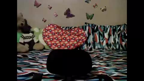 mia_rein online show from March 11, 2025, 8:09 am