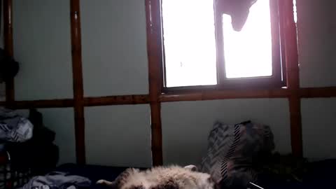 Mia  Sam online show from October 4, 2025, 4:05 pm