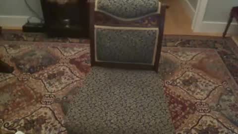 miamiwrestler online show from December 22, 2025, 2:41 am