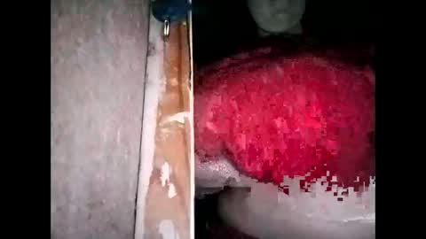 miamooreh online show from March 13, 2026, 4:35 pm