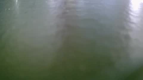 michelclaude online show from October 15, 2025, 8:03 am