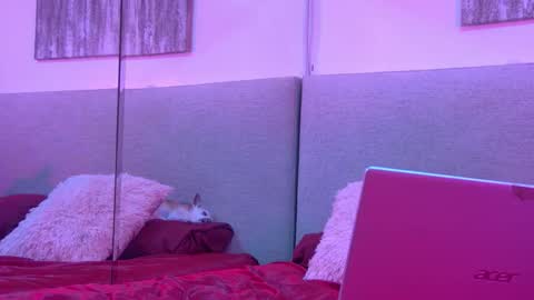 Mickey online show from November 27, 2025, 4:25 am