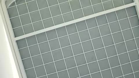 middleton2021 online show from January 8, 2025, 10:16 pm