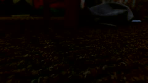 Miggy online show from December 24, 2024, 5:55 pm