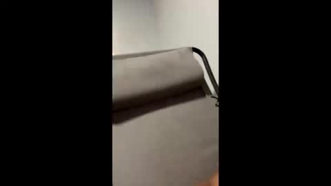 mike66730 online show from February 25, 2025, 4:35 am