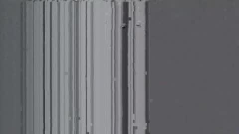 mike_foro online show from November 19, 2025, 5:40 am