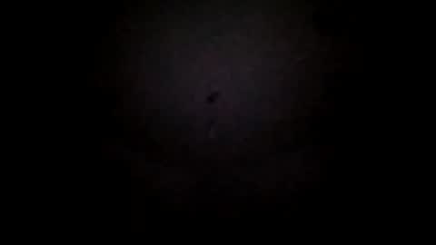 mikemike11k online show from January 25, 2025, 4:23 am