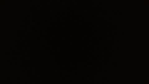 Rosalie  online show from March 1, 2026, 11:01 am