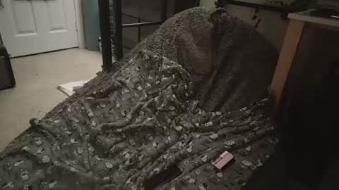 Snapshot of milky479 chatting on March 9, 2026, 8:40 am milky479 online show from March 9, 2026, 8:40 am