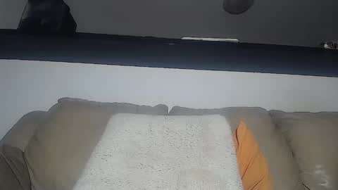 C online show from February 3, 2025, 7:40 am