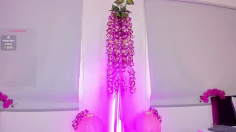  Milu Belucci  online show from January 30, 2025, 3:08 pm