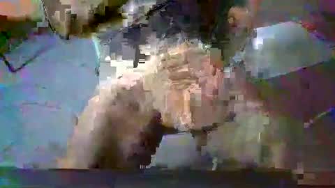 minoas31 online show from December 13, 2024, 8:09 am