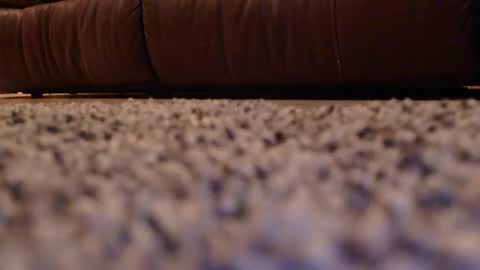 misohoney007 online show from April 14, 2026, 10:21 am