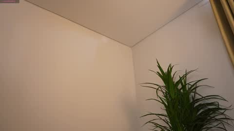 miss airi online show from March 1, 2026, 3:03 pm