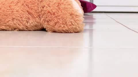 Alexa online show from February 16, 2026, 8:16 pm