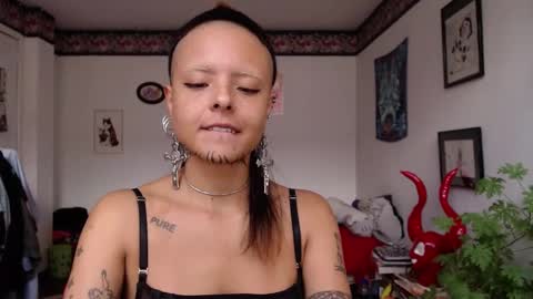 Snapshot of missanarky chatting on February 21, 2025, 7:10 pm Anarkitten online show from February 21, 2025, 7:10 pm