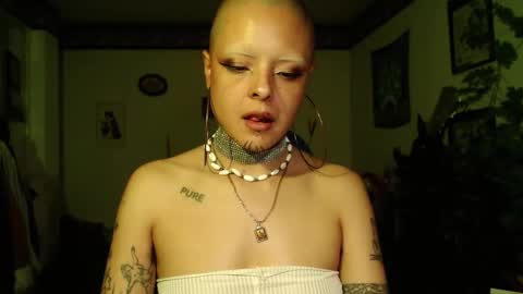 Snapshot of missanarky chatting on December 19, 2025, 12:17 am Anarkitten online show from December 19, 2025, 12:17 am