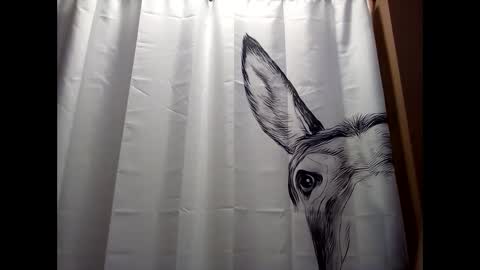 MissEeva online show from December 19, 2024, 6:23 pm