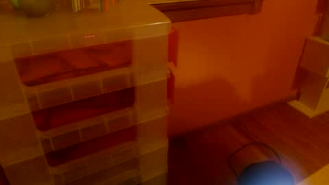 MissKittyFox online show from June 25, 2026, 4:56 am