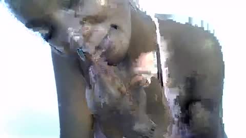 sexy online show from January 19, 2026, 10:30 am