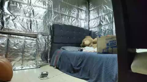 SCARLETH online show from November 24, 2025, 2:55 am