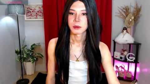 Stella online show from November 21, 2025, 8:02 am