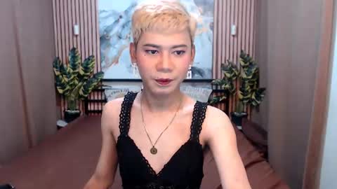 Snapshot of misstransstella69 chatting on August 5, 2026, 5:54 am Stella online show from August 5, 2026, 5:54 am