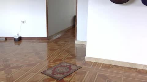 misternocturne online show from April 20, 2026, 5:59 pm