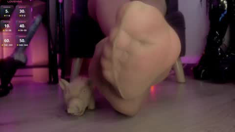 Jhadee online show from January 13, 2025, 12:30 am