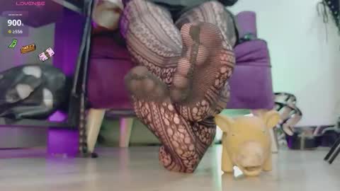 Jhadee online show from February 23, 2026, 11:46 pm