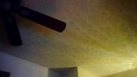 BobbyMitchGa online show from September 25, 2025, 10:19 am