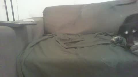 mixandflair online show from December 22, 2024, 8:47 pm