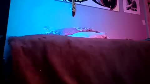 Daddy720 online show from March 22, 2026, 11:41 pm