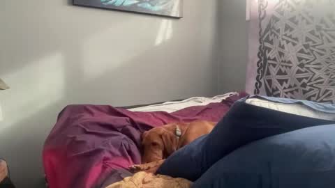 MNTuiLa online show from February 17, 2025, 3:31 pm