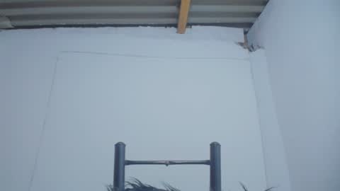 Catalina online show from December 4, 2024, 2:09 am