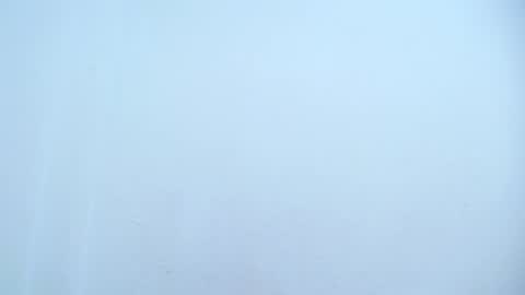 Catalina online show from March 8, 2025, 8:33 am