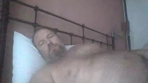 Snapshot of mofu781s chatting on December 4, 2024, 2:15 pm mofu781s online show from December 4, 2024, 2:15 pm