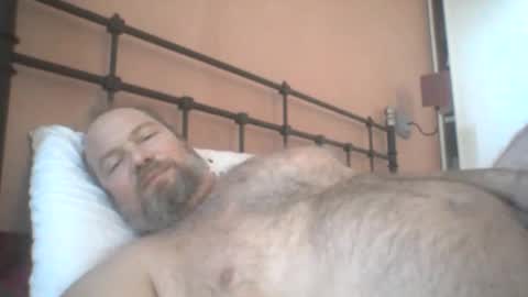 Snapshot of mofu781s chatting on December 11, 2024, 8:26 am mofu781s online show from December 11, 2024, 8:26 am