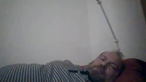 Snapshot of mofu781s chatting on December 23, 2024, 10:55 pm mofu781s online show from December 23, 2024, 10:55 pm