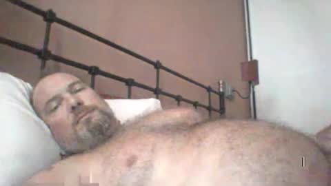 Snapshot of mofu781s chatting on December 26, 2024, 2:05 pm mofu781s online show from December 26, 2024, 2:05 pm