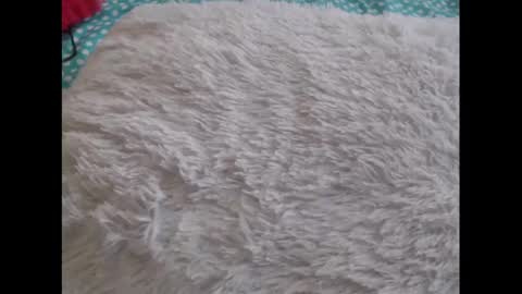 Molly And Brad online show from February 6, 2025, 10:21 pm