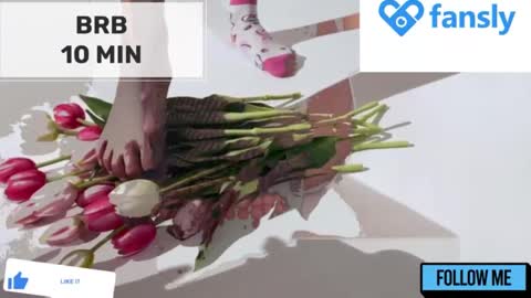 Mommy online show from December 25, 2024, 2:14 am