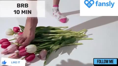 Mommy online show from January 31, 2025, 5:51 am