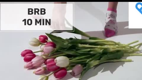 Mommy online show from October 28, 2025, 2:04 am