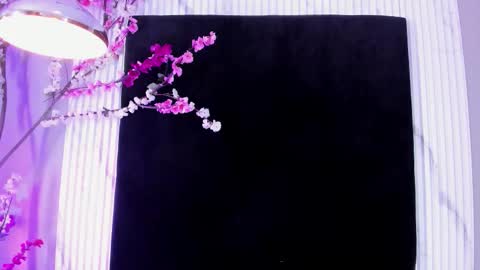 MONIK FOX online show from November 17, 2025, 7:41 pm